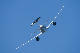 image0796