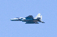 image0919