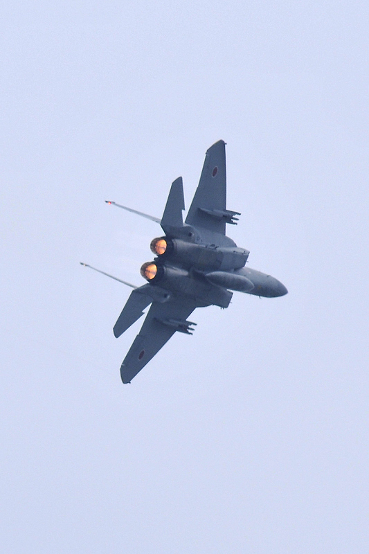 image0184
