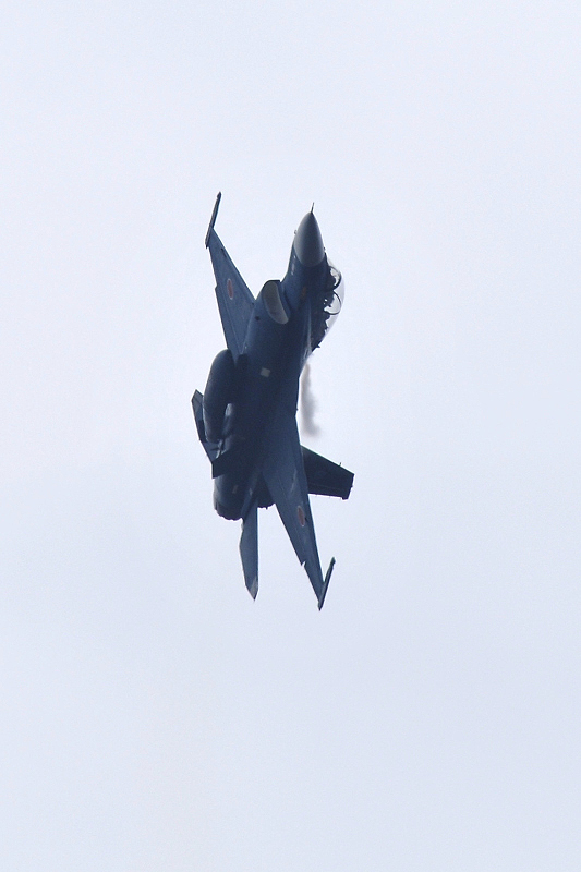 image0391