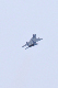 image0124