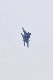 image0192
