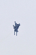 image0193
