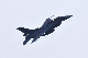 image0231