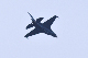 image0239