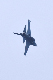 image0241