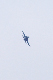 image0248