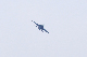 image0249