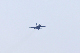 image0253