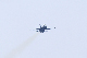 image0255