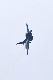 image0295
