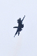 image0296