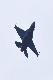 image0298
