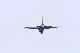 image0338