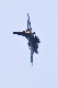 image0491