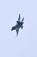 image0494