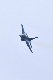image0501