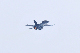 image0519