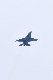 image0525