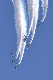 image0206