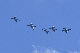 image0274
