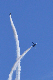 image0299