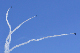 image0301