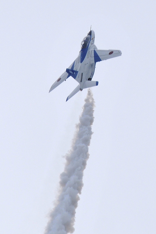 image0205