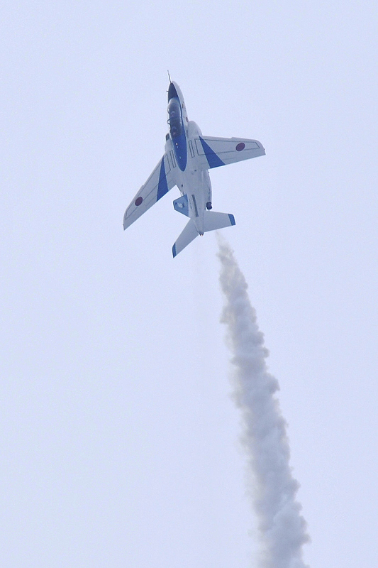 image0208