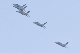 image0493