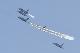 image0494