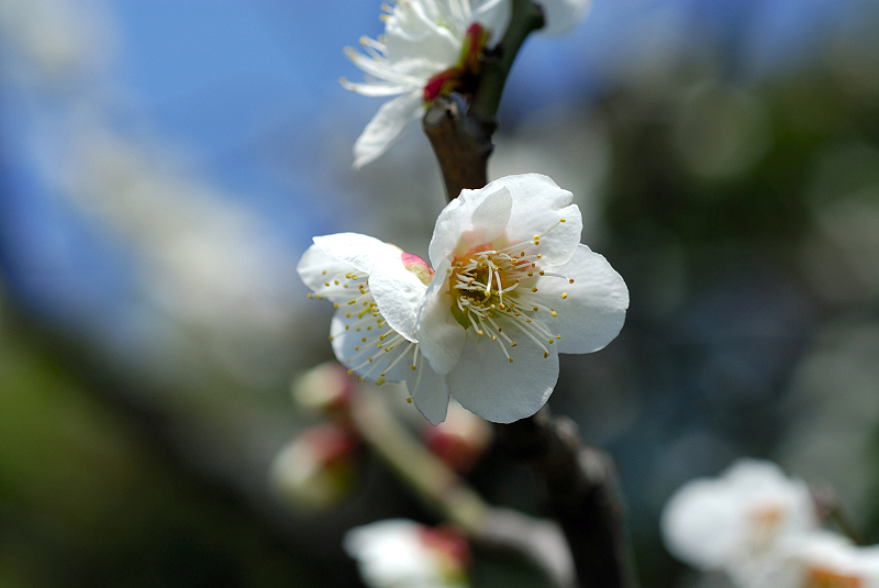 image0112