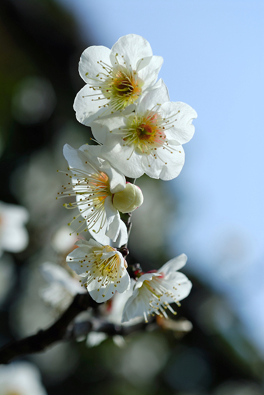 image0114