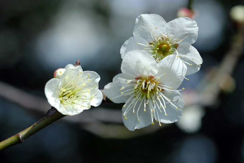 image0120
