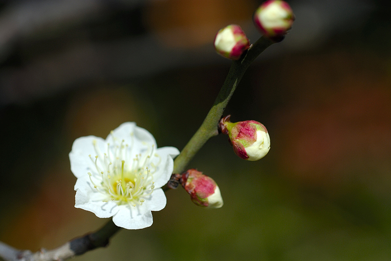 image0122