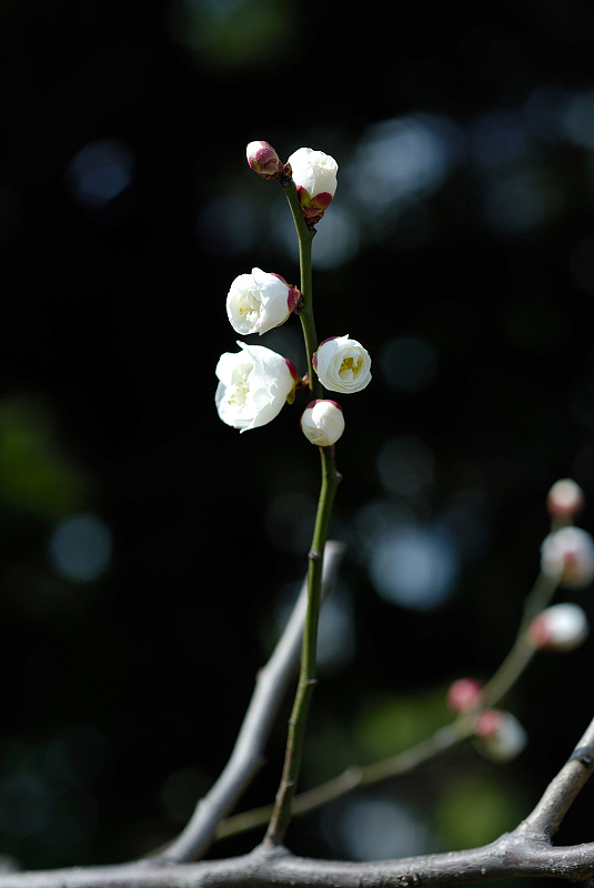 image0127