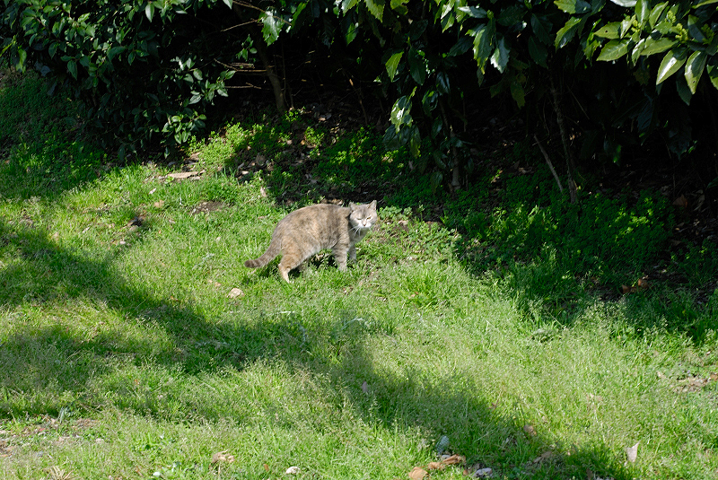 image0134