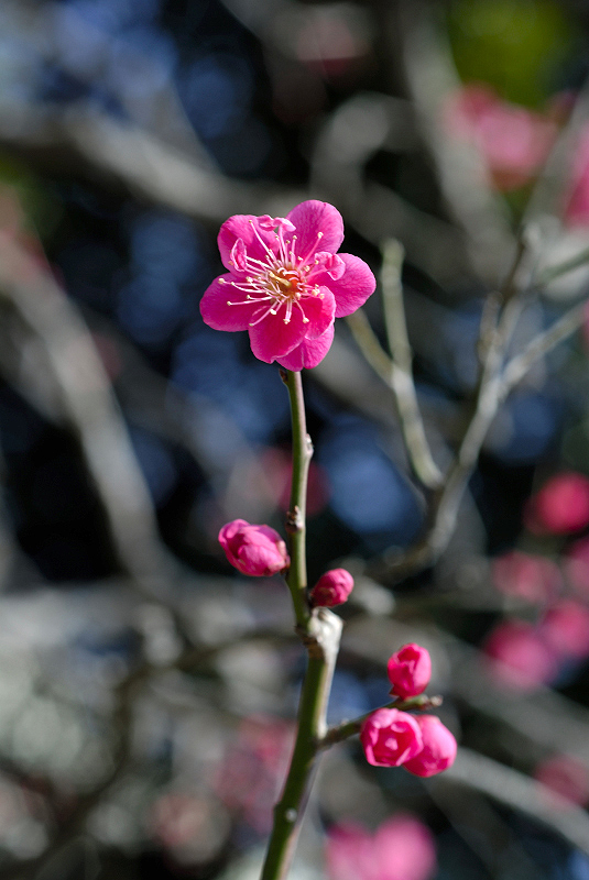 image0214