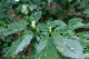 image0177