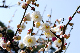 image0178
