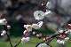 image0186