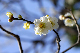 image0187