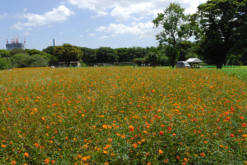 image0139