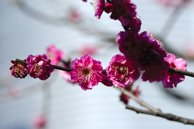 image0176