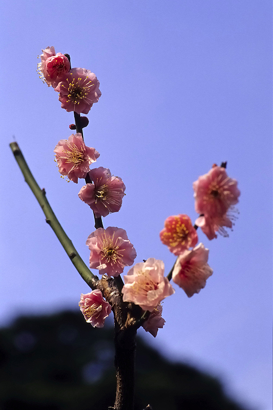 image0064