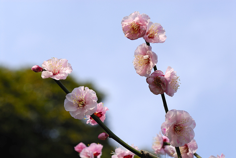 image0071
