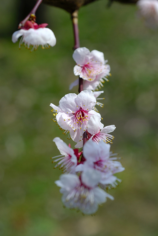 image0083