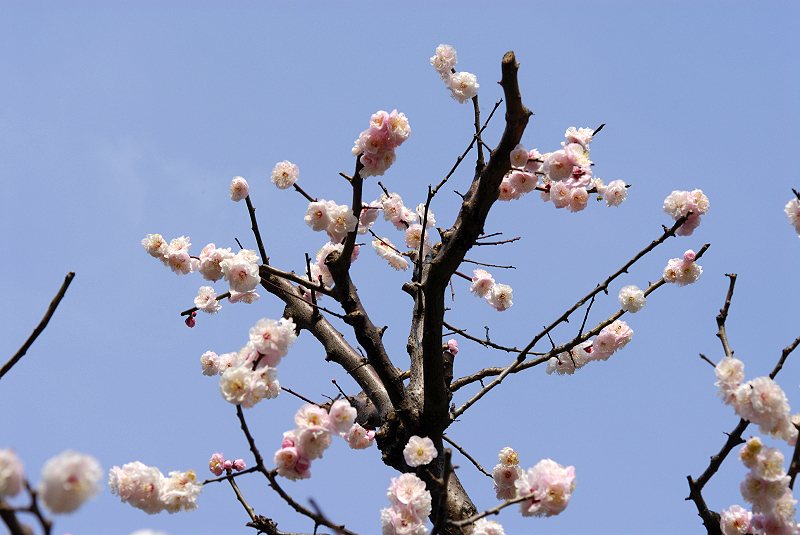 image0100
