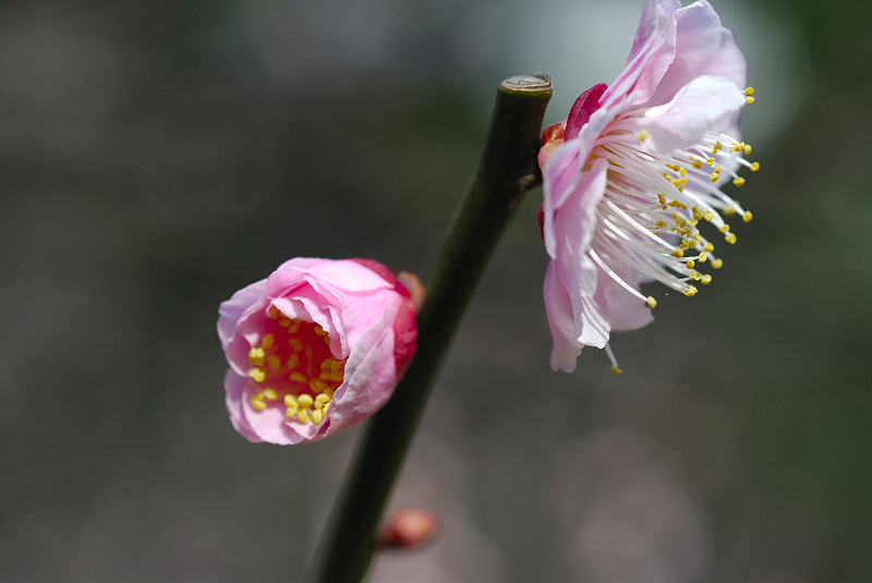 image0109