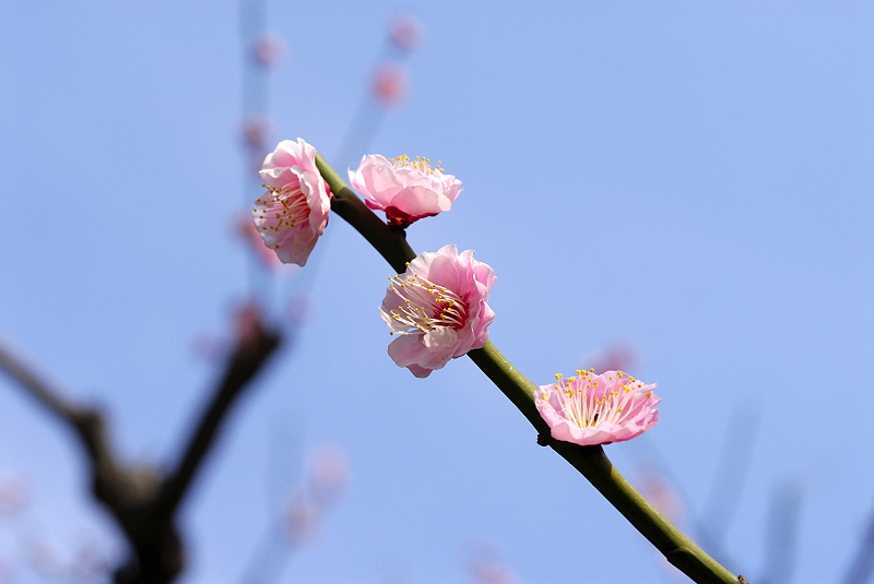 image0118